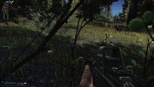Лесной Тарковский PvE бой #tarkov #eft #escapefromtarkov #PVETARKOV #тарков