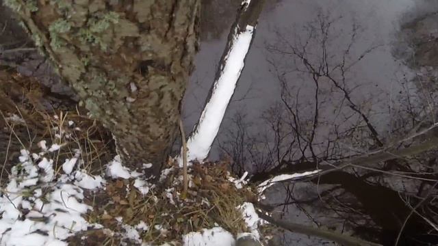 Ловля налима осенью на закидушку (донку), видео rybachil.ru смотреть онлайн