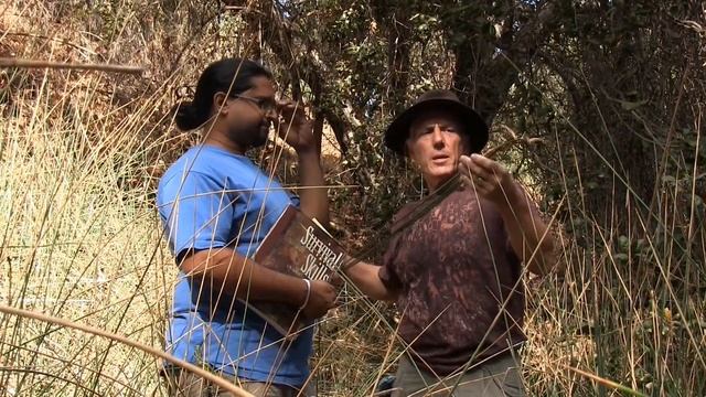 JUNCUS -- an ideal basket plant смотреть онлайн