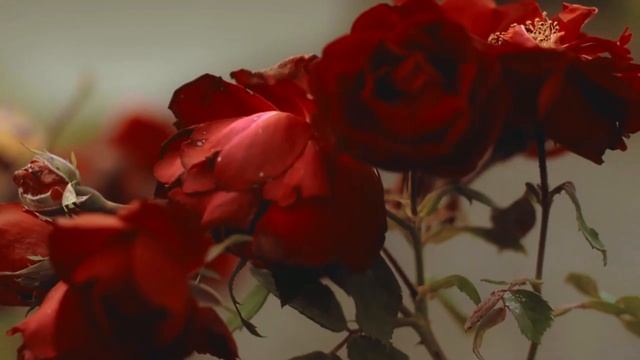 Как открыть фотостудию с нуля? Бизнес фотостудия. Фотобизнес. Бизнес идеи 2022. Идеи для бизнеса.
