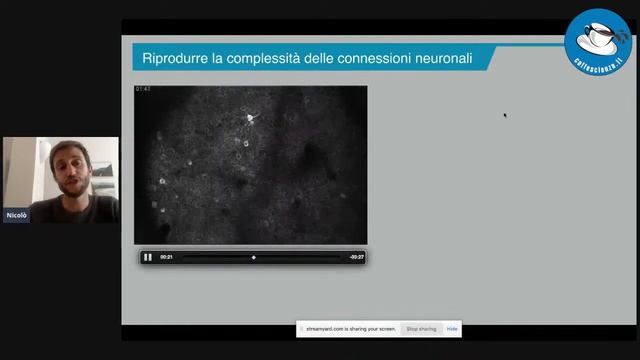 Light on Optic and Optometry - Visione 3D e Olografia A/D смотреть онлайн