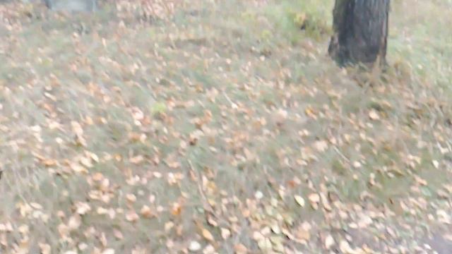 ПРОПАЛ ЧЕЛОВЕК ИЗ БРИГАДЫ. СЕКТАНТЫ И ЭКСПЕДИТОРЫ ВМЕСТЕ? СЕКТАНТЫ ВЕРНУЛИСЬ? 1 ЧАСТЬ.