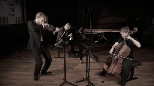 Beethoven, Piano Trio in c minor 1. movement // Mosertrio