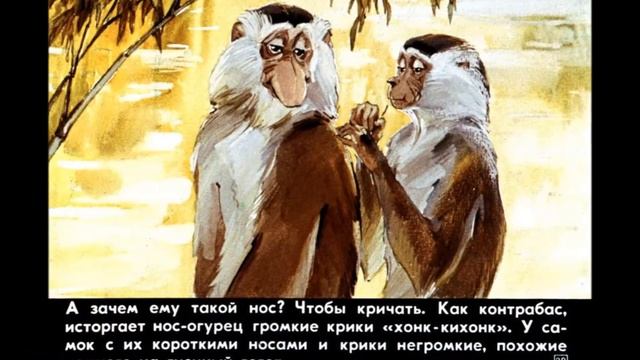 И.Акимушкин "У кого нос как огурец" смотреть онлайн