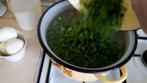 Полезные Зеленые Щи из щавеля с яйцом