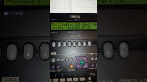 Всем своим сердцем и всей своей душой.   YAMAHA PSR 2700