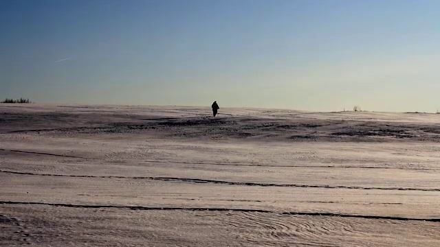 canon EOS 1000D II смотреть онлайн