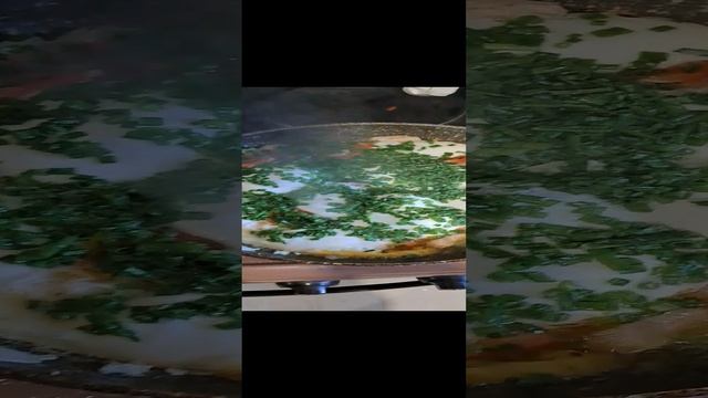 export_5526436223746267837.mp4