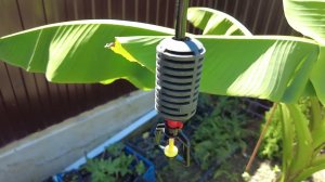 Бюджетный автополив для сада своими руками. Часть 2.