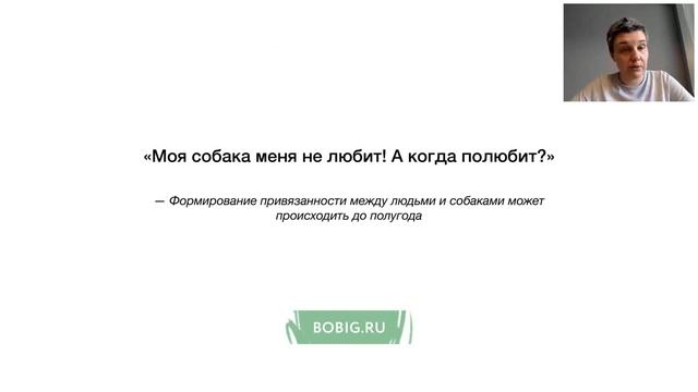Бесплатный вебинар БО.big «Собака из приюта. Инструкция к совместной жизни» от Насти Бобковой смотреть онлайн