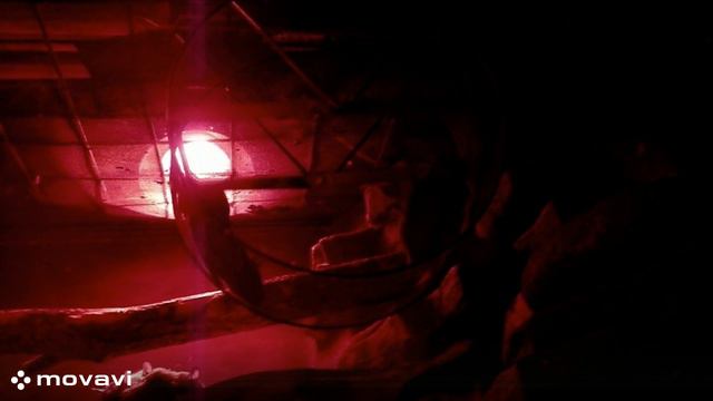 Влог / Московский зоопарк. Мышка / 8.04.22 год