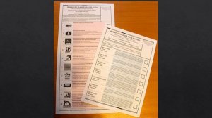 "Я БУДУЩИЙ ИЗБИРАТЕЛЬ!"