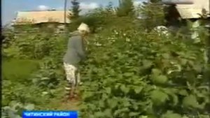 Укрепление берега реки Оленгуй.