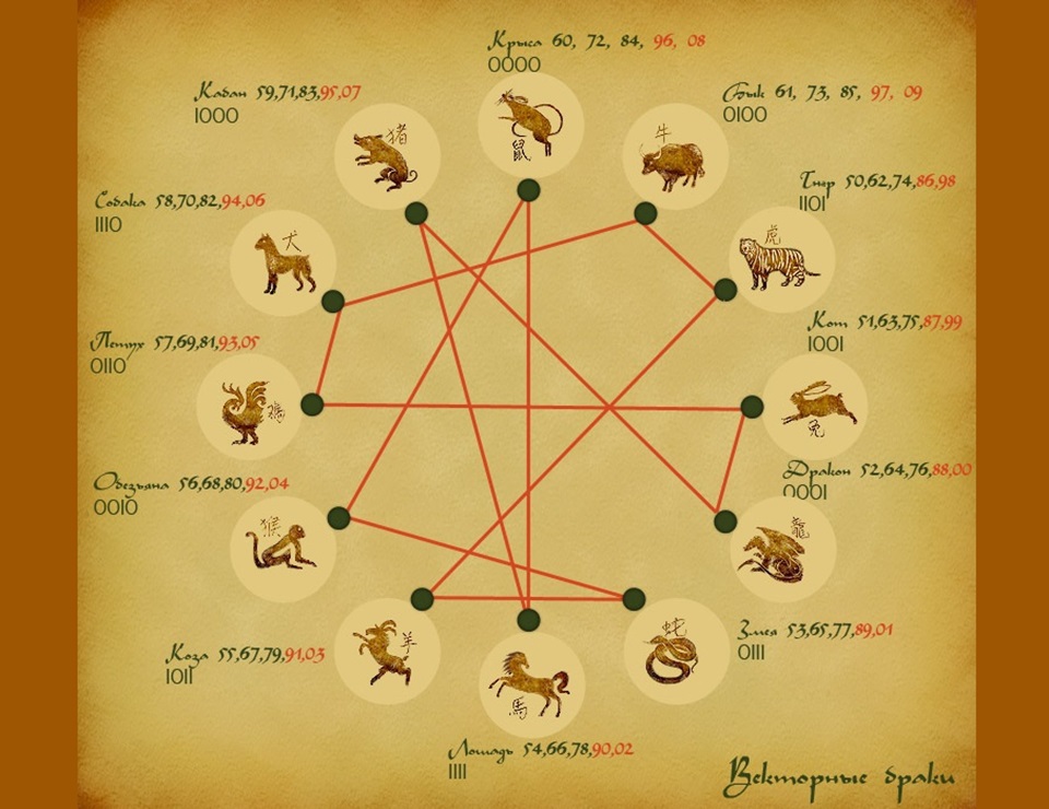 Мужчина дракон женщина кабан совместимость. Векторный брак Кваша Зодиак. Векторное кольцо Кваша брак. Векторное кольцо Кваша схема. Векторные браки Кваша таблица.