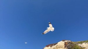 Тихий океан Красота