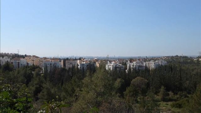 С первым днем Весны! Весна в Израиле!