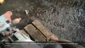 Запуск двигателя FIAT 8040.45 136 л.с для Iveco Eurocargo Разборка Европейских грузовиков Ивеко