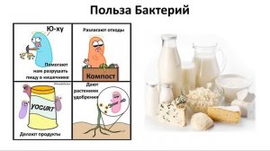 9. Бактерии и Вирусы (5 класс) - введение в Биологию