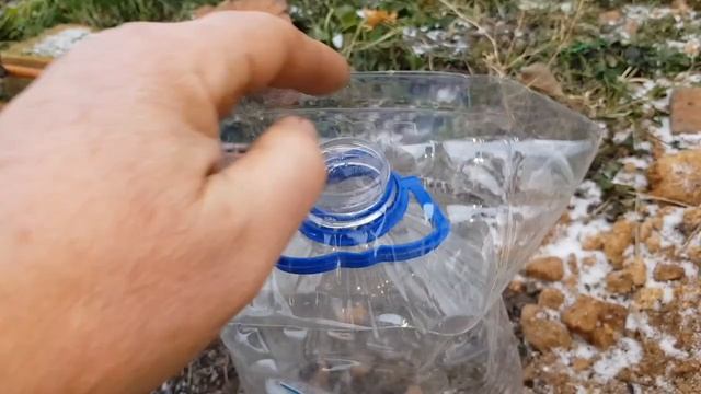 Как УКРЫТЬ ПЛОХО ВЫЗРЕВШУЮ ЛОЗУ Винограда? Топсад смотреть онлайн