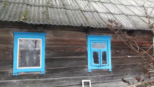 Купила хутор. Живу одна на хуторе. Мой 100летний дом
