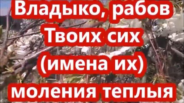 МОЛИТВА НА ПАСХУ "ТРИ КРЕСТА" САМЫЙ СИЛЬНЫЙ ОБЕРЕГ ОТ ПРОБЛЕМ И НЕПРИЯТНОСТЕЙ!✝☦