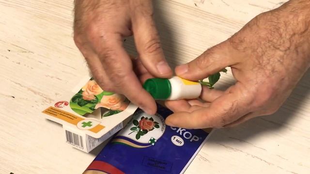 Как сохранить диасцию в домашних условиях до весны и уберечь её от мучнистой росы смотреть онлайн