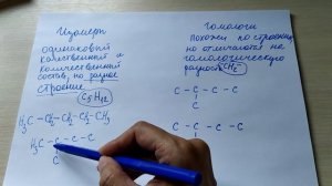 Изомеры, гомологи, органическая химия