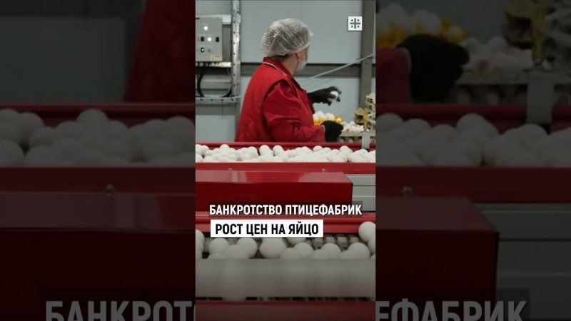 Банкротство птицефабрик. Правда или нет?