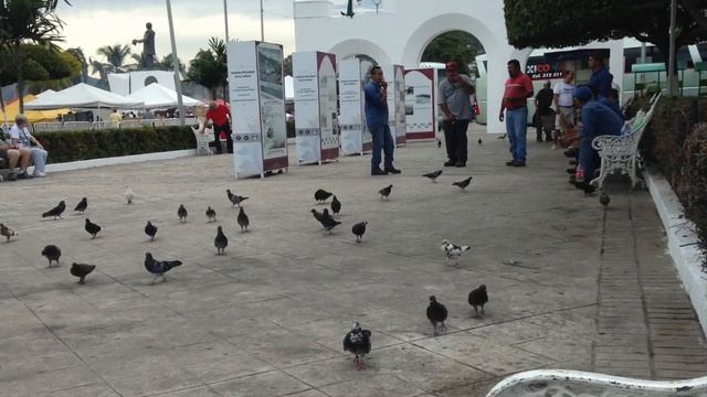 ⚓️*?MANZANILLO MEXICO Short Trip смотреть онлайн