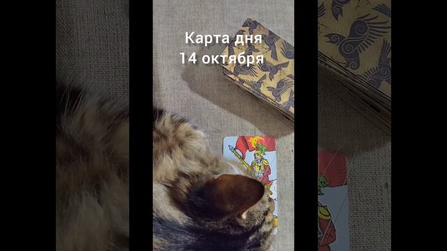 Карта дня 14 октября