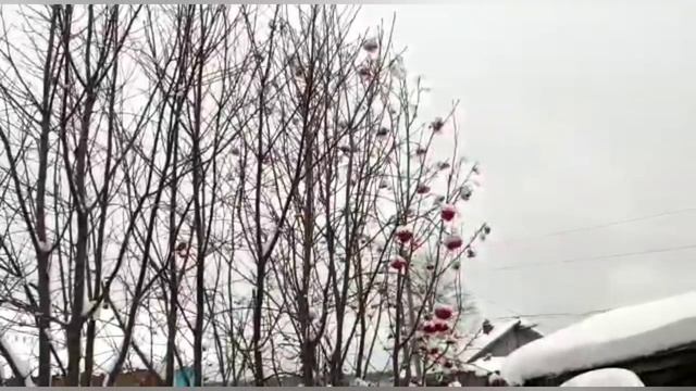 Для чего нужен Леша Колесников? Какая от него польза? // Обзор видео// смотреть онлайн