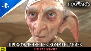 «ИСПЫТАНИЕ НИОВ ФИЦДЖЕРАЛЬД» ✪ РУССКАЯ ОЗВУЧКА - Hogwarts Legacy 🏆 Прохождение — Часть 23
