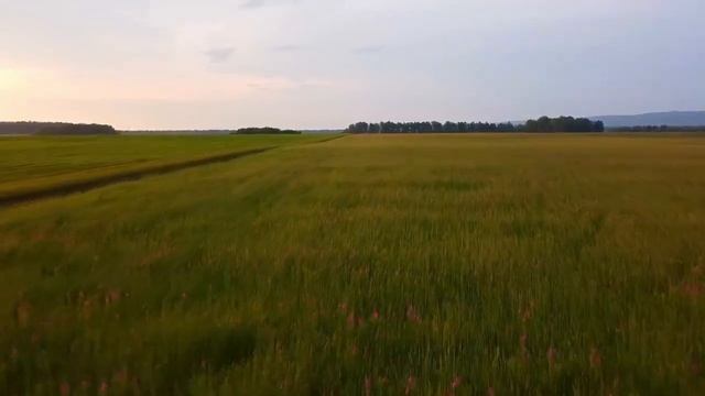 ЛЕЙЛА ЦАМАЕВА И"ЧЕЧЕНСКАЯ СНОХА".1 СЕНТЯБРЯ.ДВА МИРА- ЖЕНЩИНЫ НА ПРОТИВОПОЛОЖНЫХ ПОЛЮСАХ