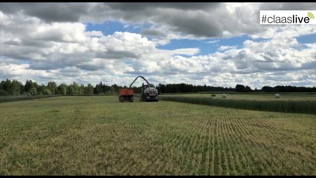 День поля CLAAS: эфир с секции «Зеленый корм»