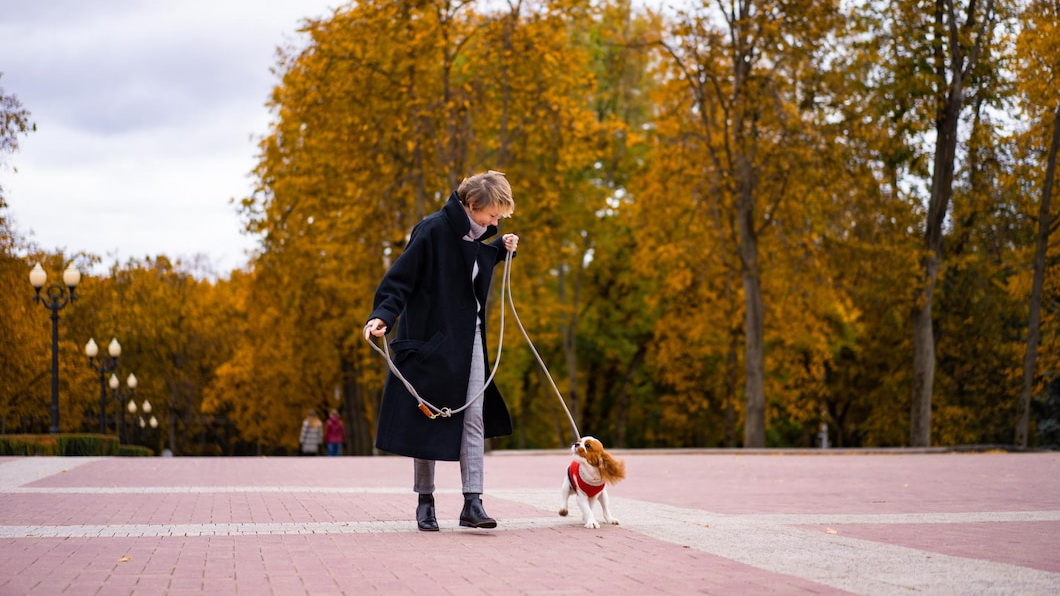 Длинная прогулка