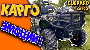 СТЕЛС ГЕПАРД КАРГО ЭМОЦИИ