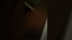 КАК УДАЛИТЬ ЗАМЕЧАНИЕ , ДВОЙКУ ИЗ ДНЕВНИКА?! ЕСТЬ ВЫХОД