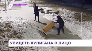 Видео с выходками хулиганов на набережной Арсеньева попало в общественные паблики