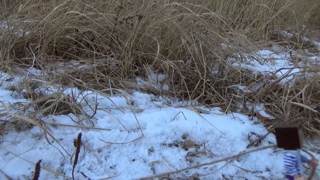 ВЫЖИВАНИЕ БОМЖА В РОССИИ 2 ! НУБ СТАЛ БОМЖ ! МАЙНКРАФТ В РЕАЛЬНОЙ ЖИЗНИ ! БОМЖ СДАЕТ БУТЫЛКИ ! смотреть онлайн