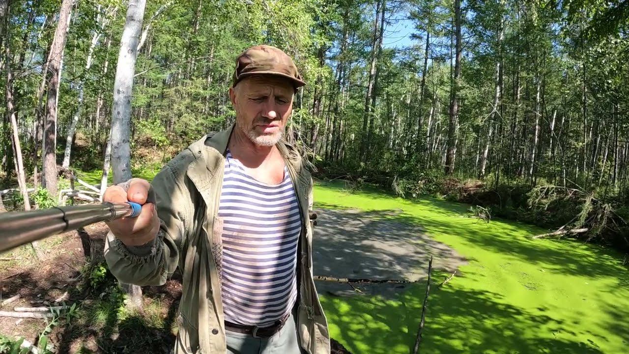 Новое обострение в судьбе наших медведей. смотреть онлайн