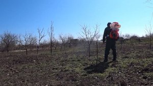 Мотоопрыскиватель-пробую работать.