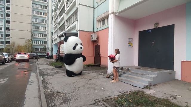 Любимой девушке!!!! ??? смотреть онлайн