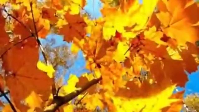 9 октября 2021 г. смотреть онлайн