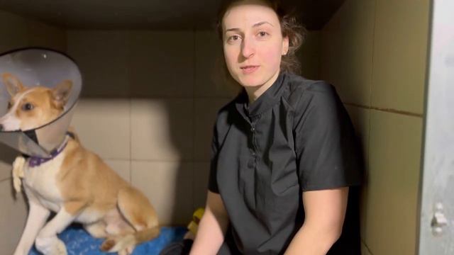 Спасибо да февраль! смотреть онлайн