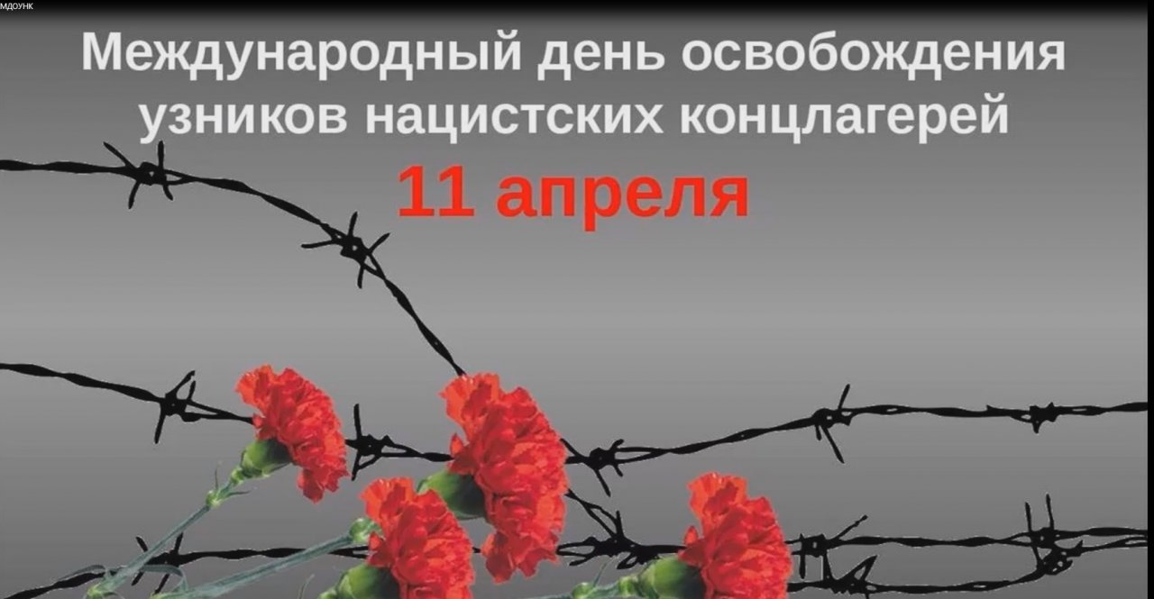 Международный день освобождения узников фашистских концлагерей картинки