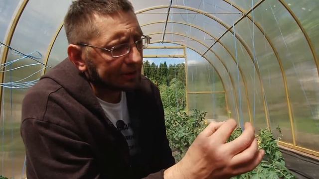 Формирование растений