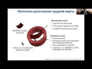 SurgSpot. Диагностика и лечение острой и хронической патологии грудной и торакоабдоминальной аорты
