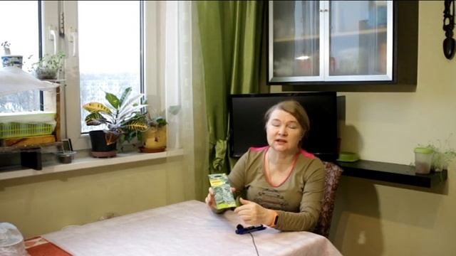 195_Цинерария. Дизайнеры рекомендуют. смотреть онлайн