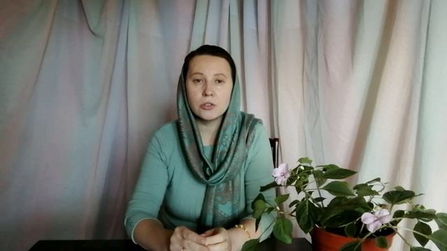 Какие виды воскресной школы бывают