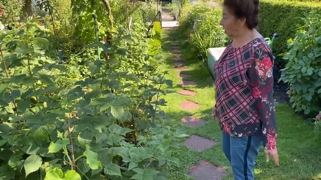 НЕМЕЦКАЯ ДАЧА.КАК ВСЁ ВЫРОСЛО.В ГОСТЯХ У МАМЫ ОЛИ.